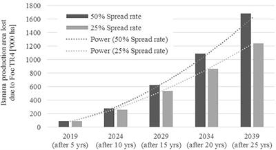 Ex Ante Assessment of Returns on Research Investments to Address the Impact of Fusarium Wilt Tropical Race 4 on Global Banana Production